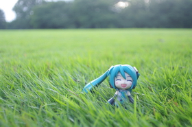 Photo 002
