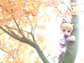 Photo 012