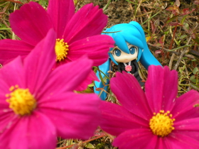 Photo 049