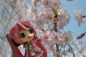 Photo 088