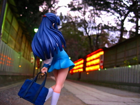 Photo 133