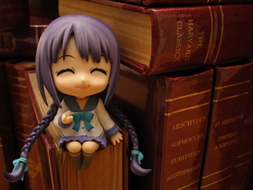 Photo 161